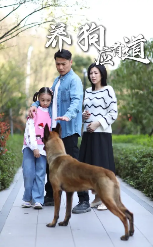 《养狗应有道》：新手铲屎官避坑指南，爆笑又感动的萌宠成长记！