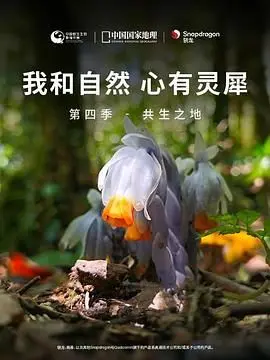 《我和自然 心有灵犀》第四季 - 共生之地：探索地球脉搏，治愈心灵的奇妙旅程！